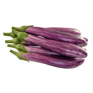 Egg Plant Raina From Known You Seed (India)-KYI